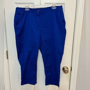 Ryan Wythe Blue Crop Pants